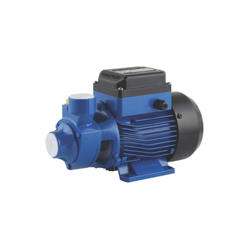 CRI PEM Peripheral Vane Pump