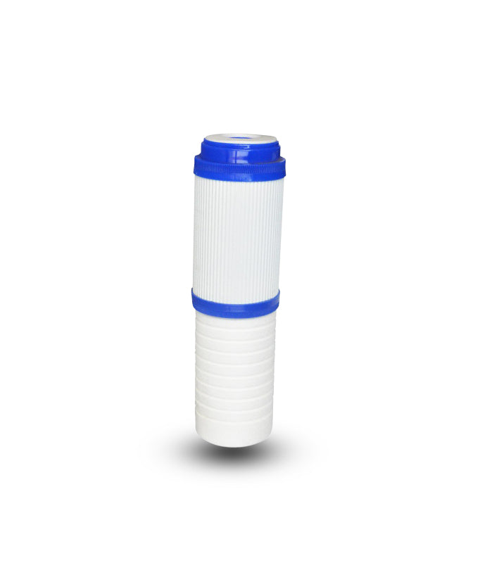 10″ Std Combo Filter