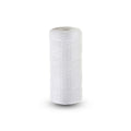 10″ BB String Sediment Filter