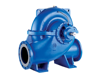 CRI SH-1E-110/4 Horizontal Split Case Pump