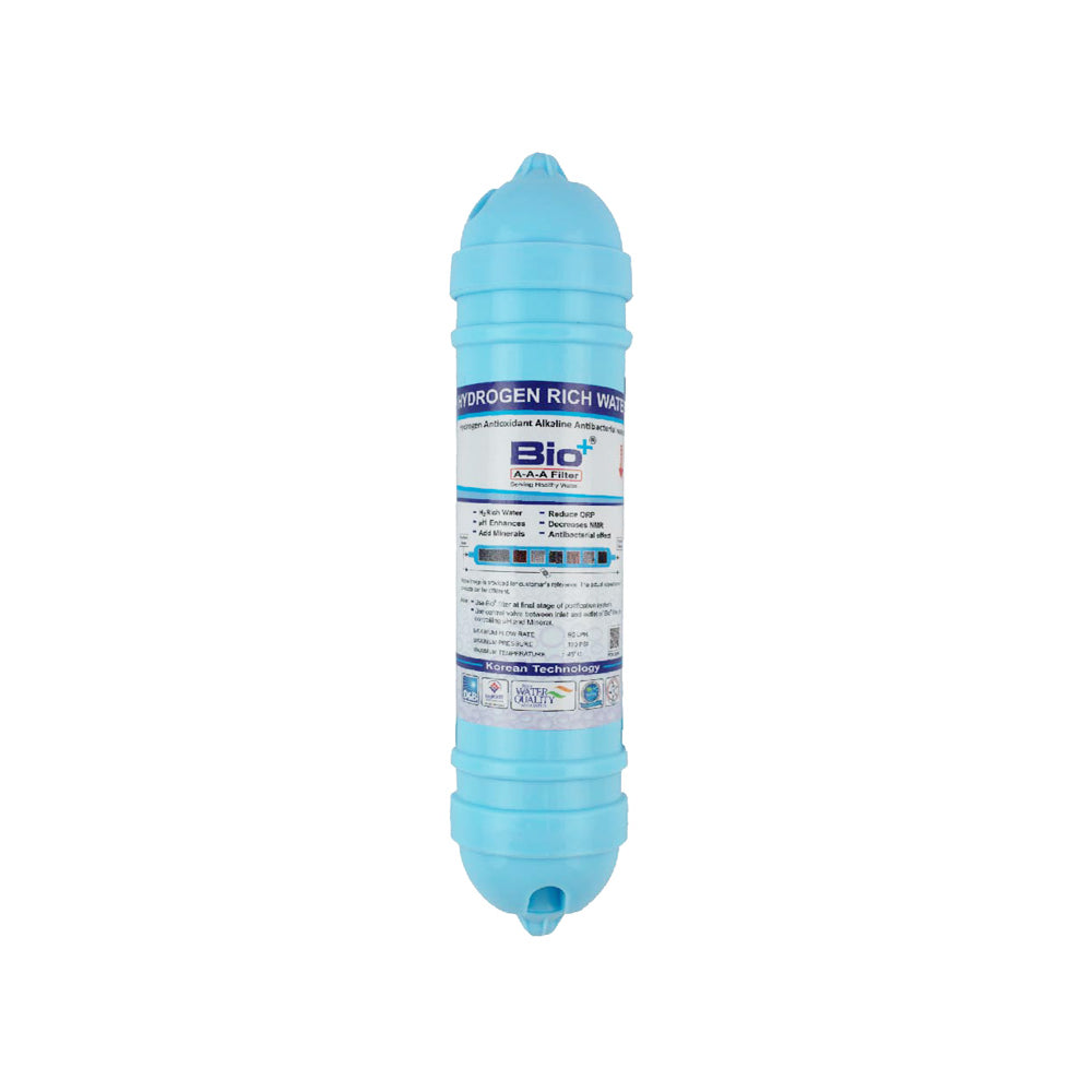 BioPlus H2AAA BWPK Filter