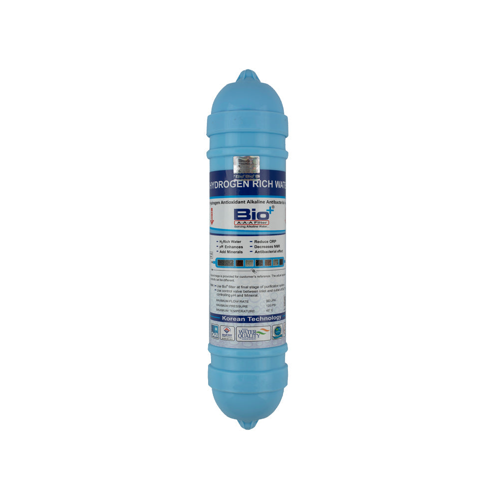 BioPlus H2AAA SWPK Filter