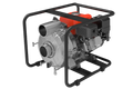 LGP15